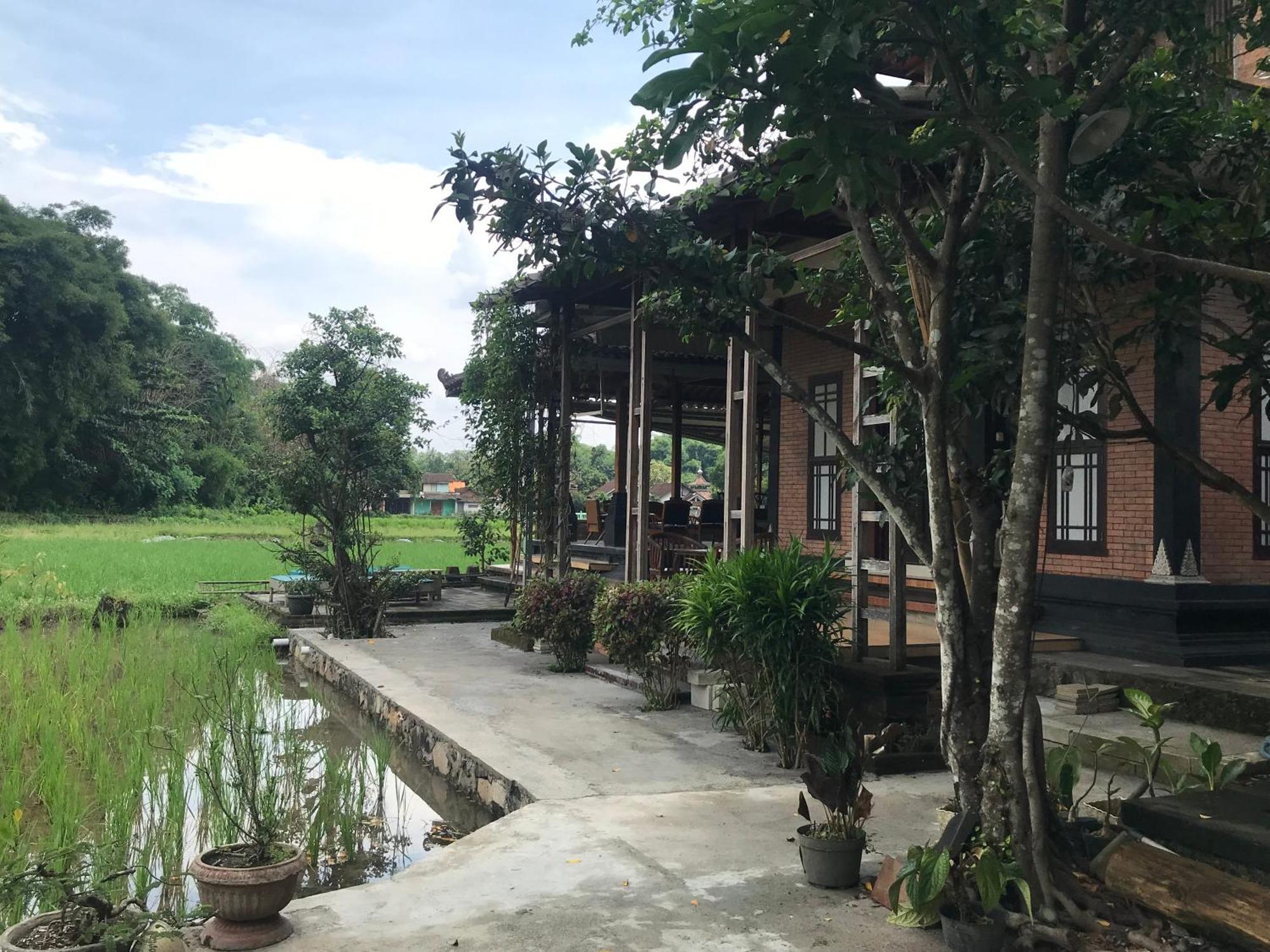Lotus 2 Guest House Magelang Dış mekan fotoğraf